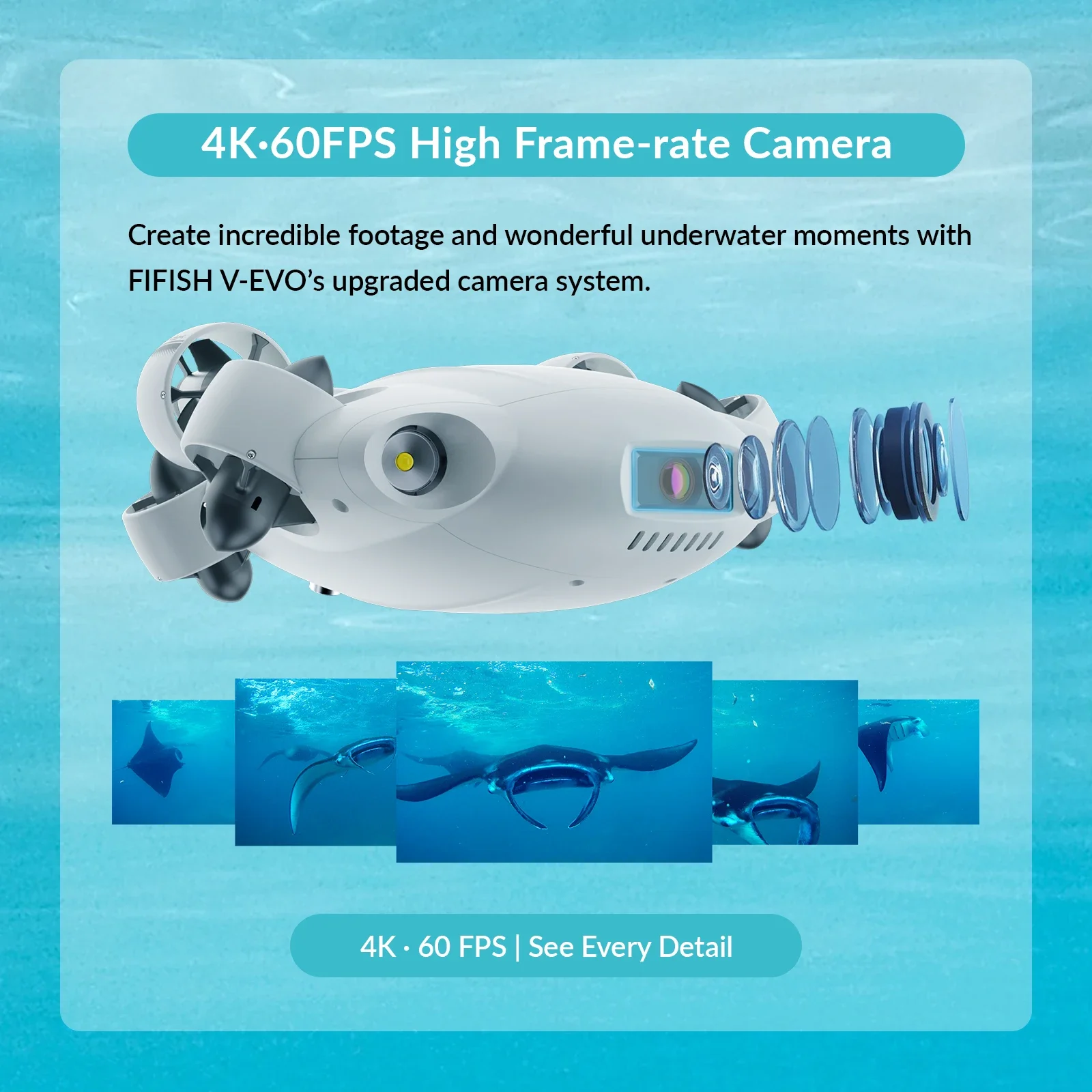 Kamera Bawah Air Premium FIFIS - Underwater Camera ulasan dan harga